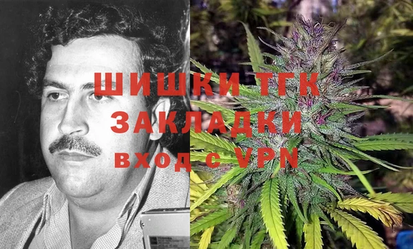 бошки Надым