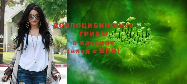 бошки Надым