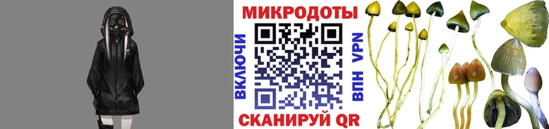 Псилоцибиновые грибы мухоморы Усть-Катав